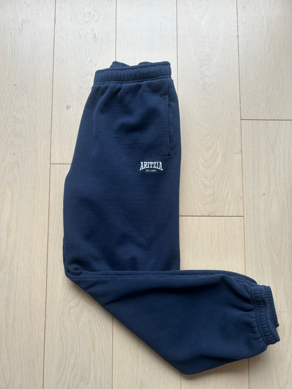 Aritzia Sweatfleece Mega Fit joggers in Admiral